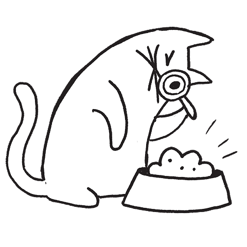 Tell us about your kitten